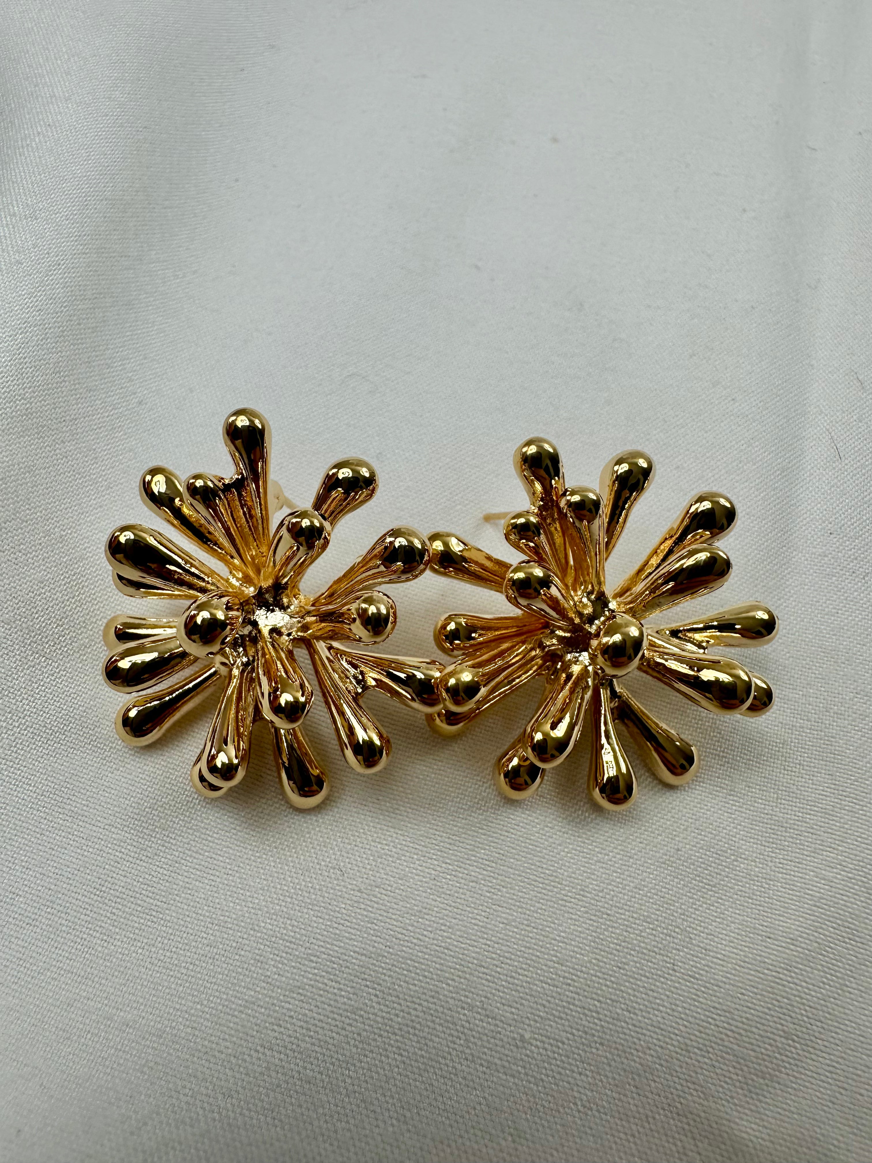Arete Erizo de Mar